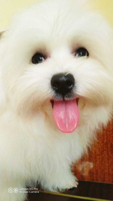 Хлопчик baby face, міні