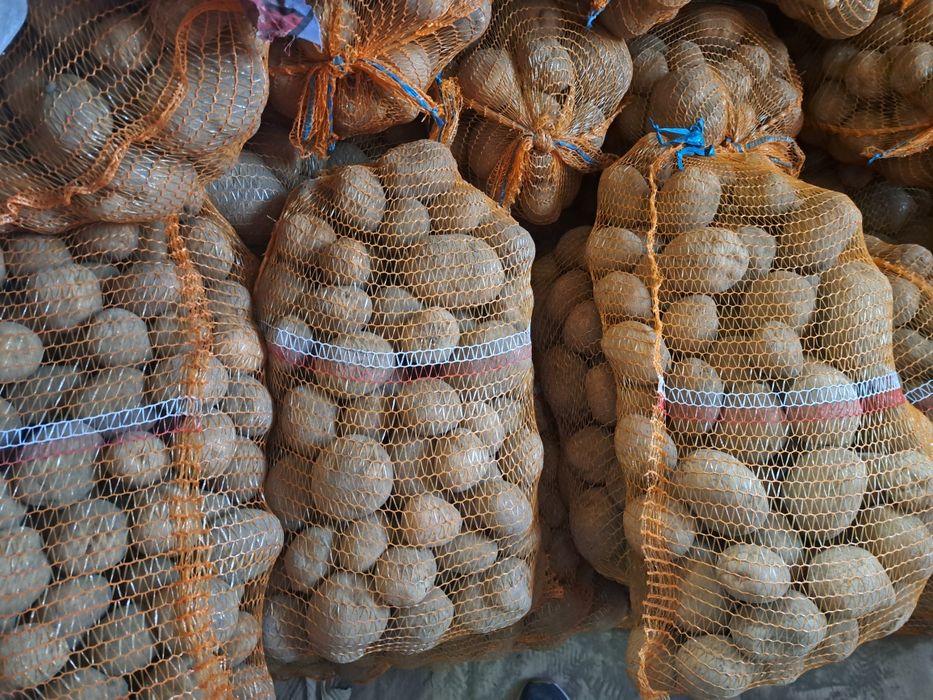 Smaczny ziemniak Vineta 1,33 zł/kg,dowoz