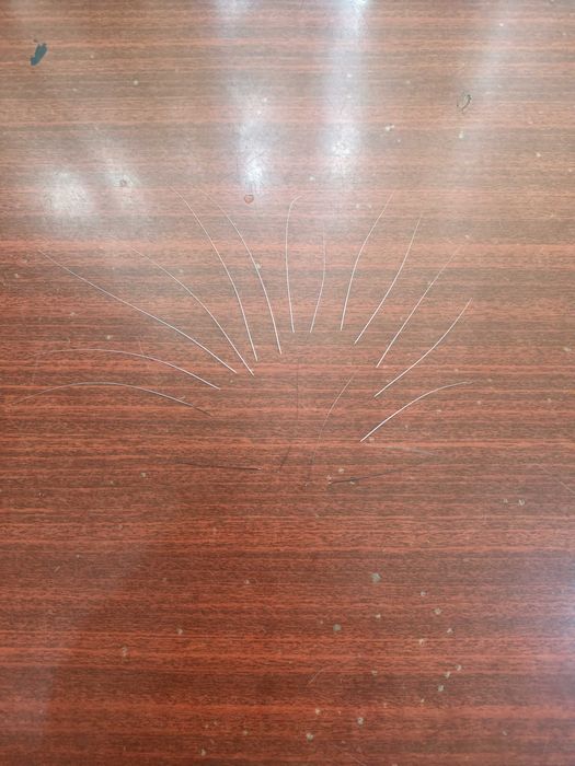 Усы кошачьи вибриссы 17 шт