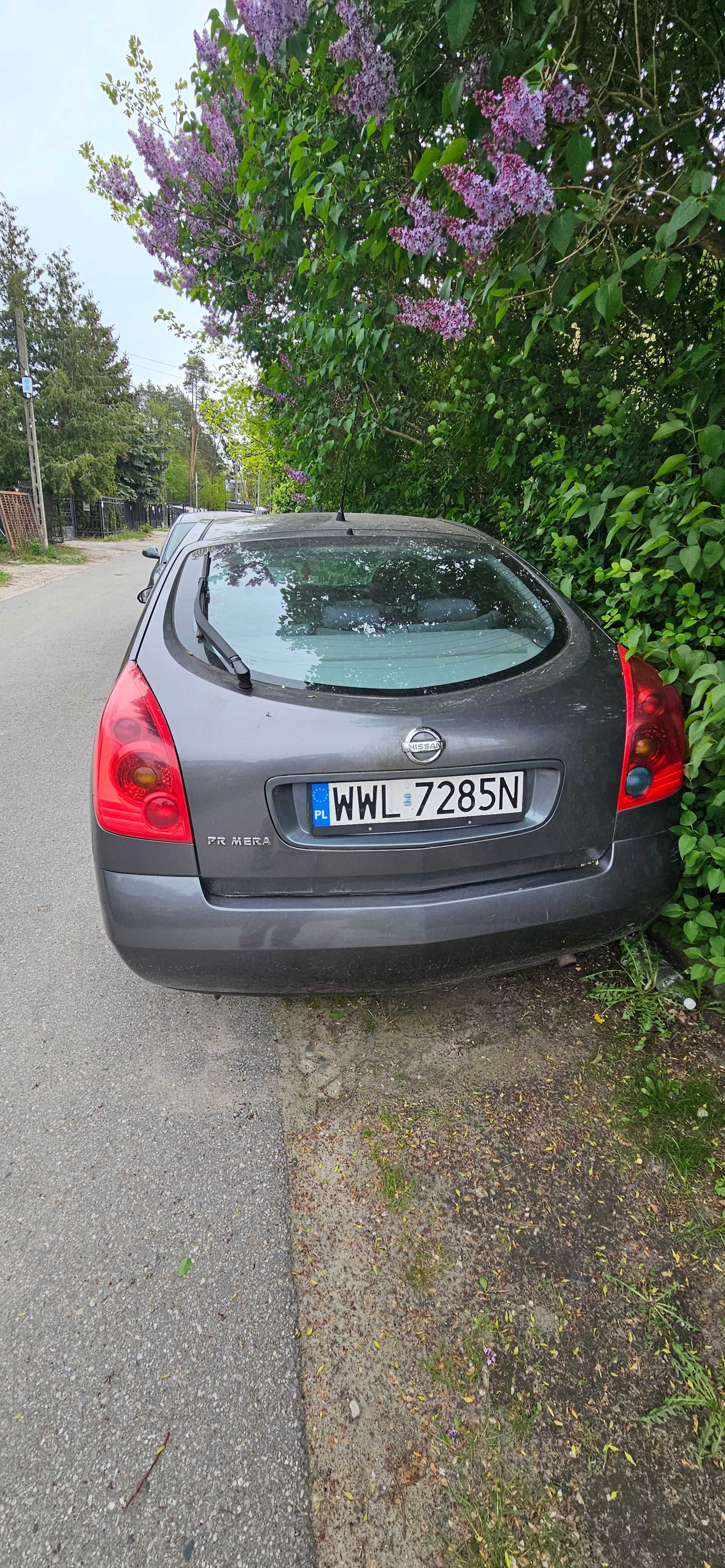 Nissan Primera P12 1.9dci