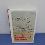 Gaivotas em terra, David Mourão Ferreira