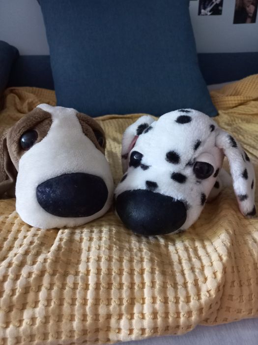 Zestaw Pluszowe pieski The dog