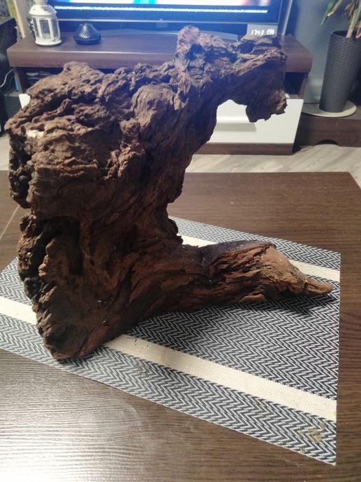 Duży korzeń 2 szt.
