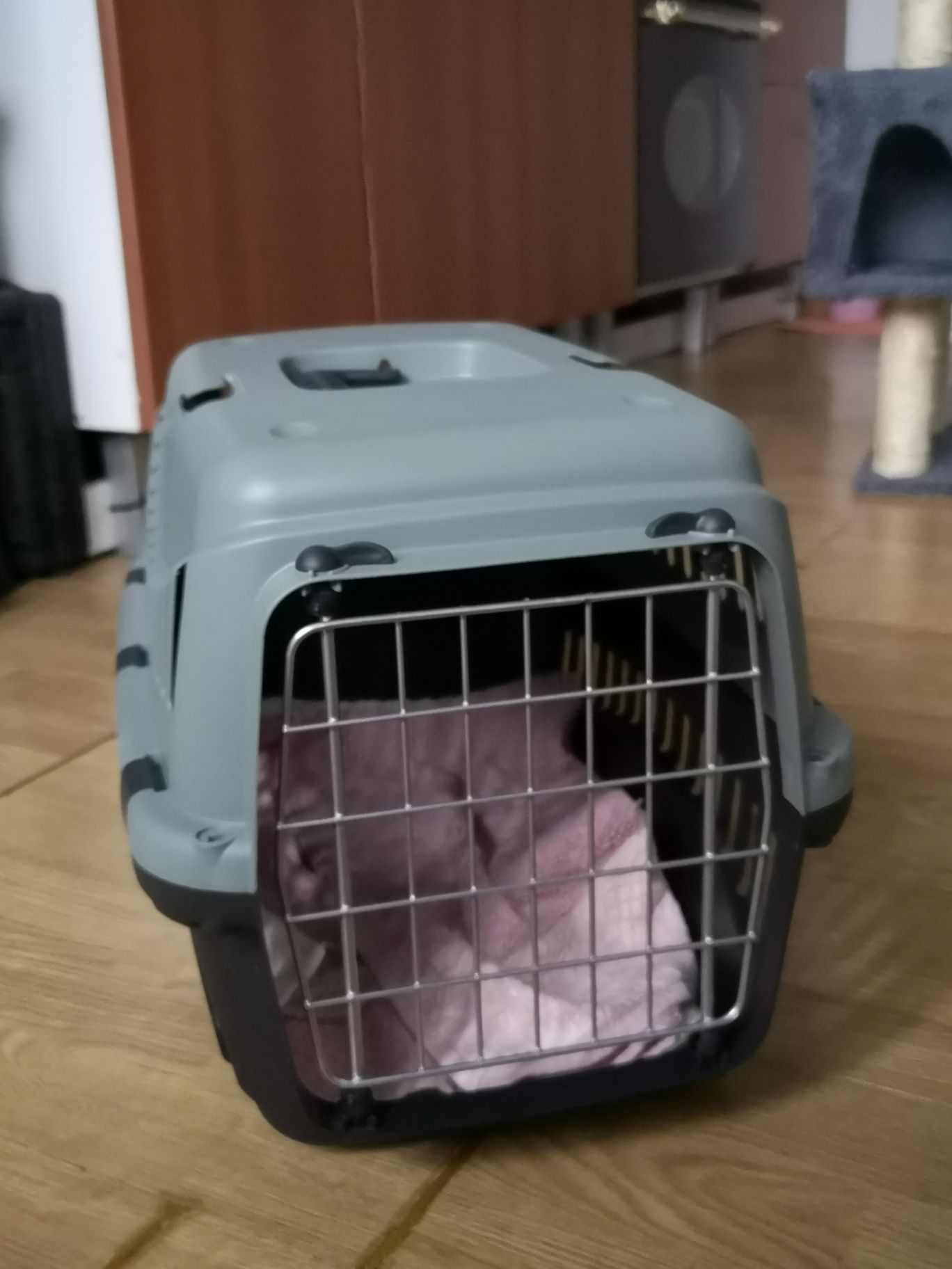 WC e Transportadora p/ gato