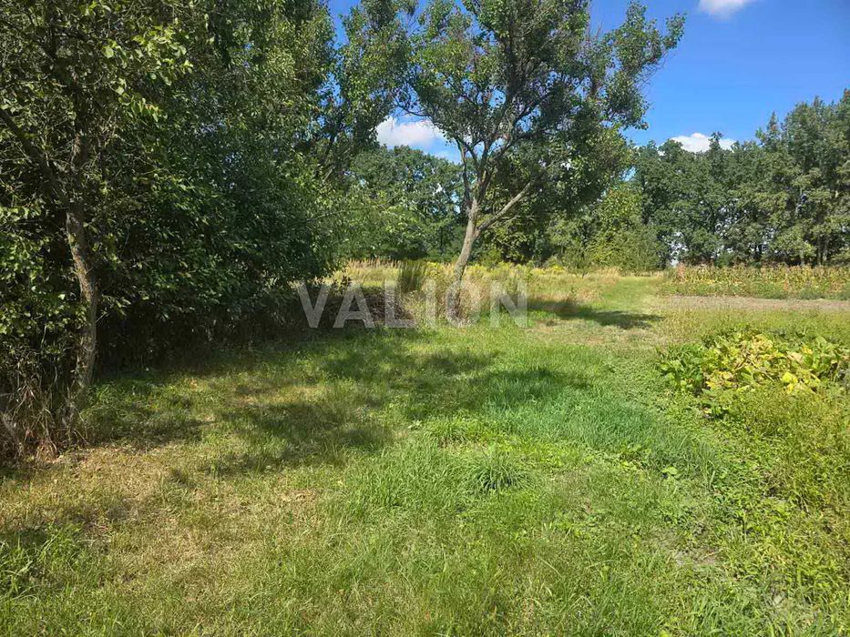 Продаж земельної ділянки. С Власівка. Баришівський р-н.