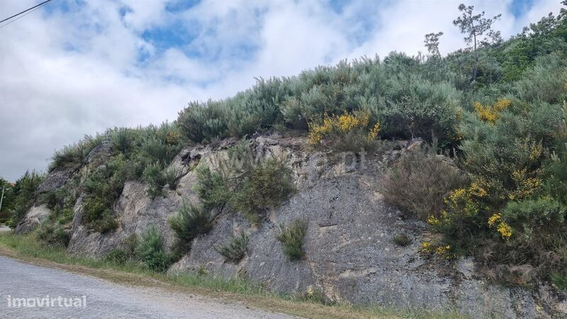 Terreno / Seia, Valezim