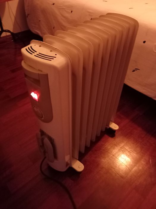 Aquecedor zebra a óleo