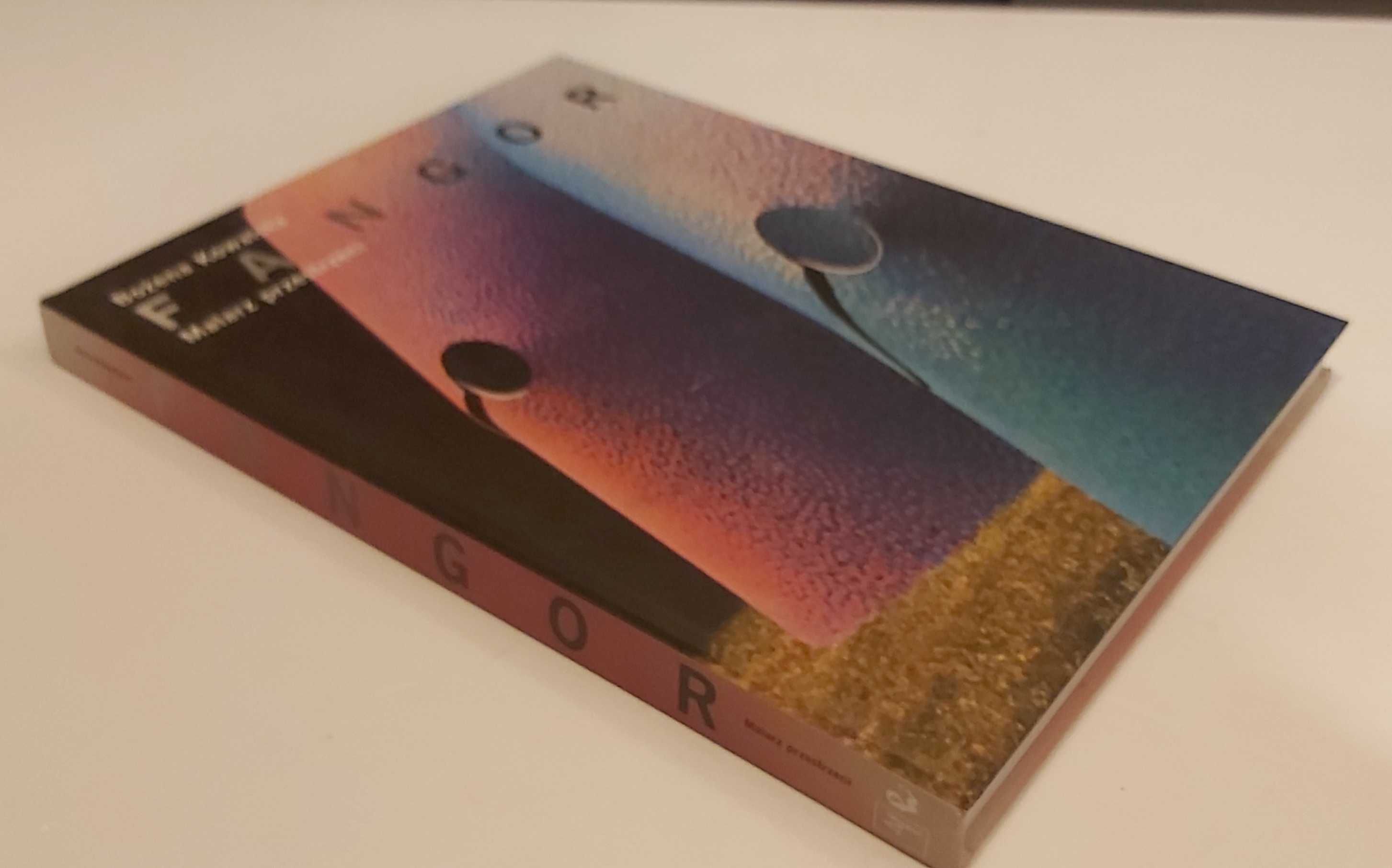 Fangor Malarz przestrzeni Bożena Kowalska ALBUM