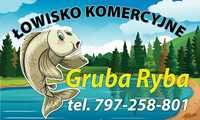 Łowisko Komercyjne Gruba Ryba