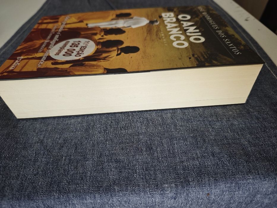 Livro O Anjo Branco
