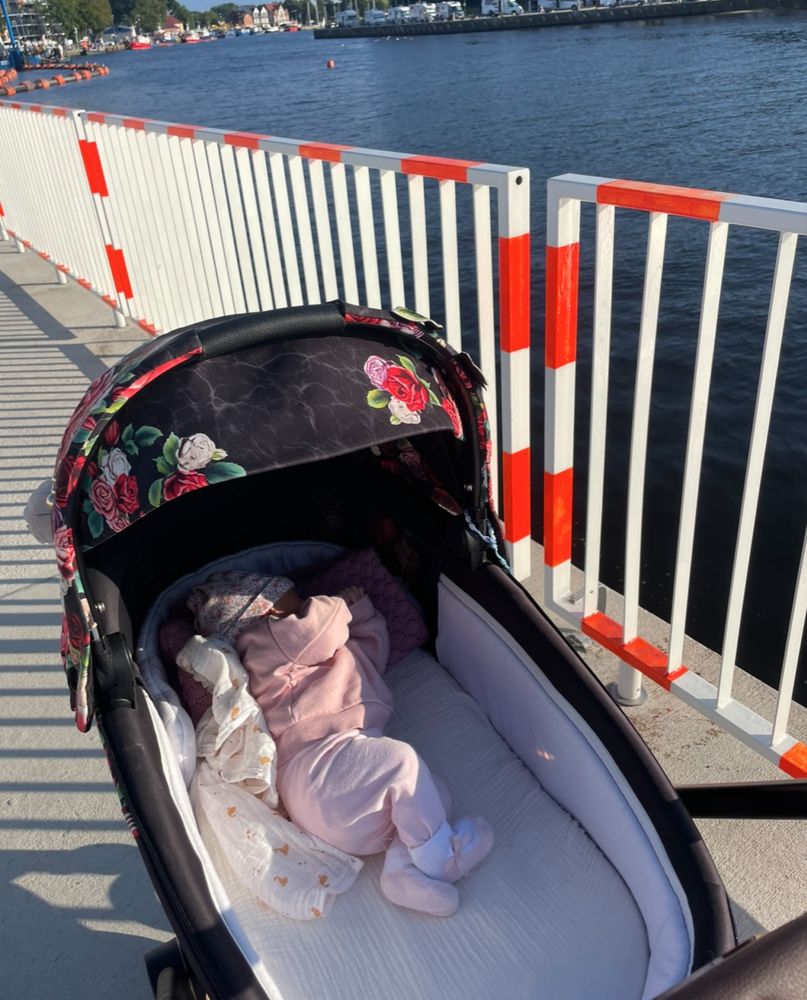 Cybex Priam 4.0 Gondola Do Wózka Spring Blossom Dark