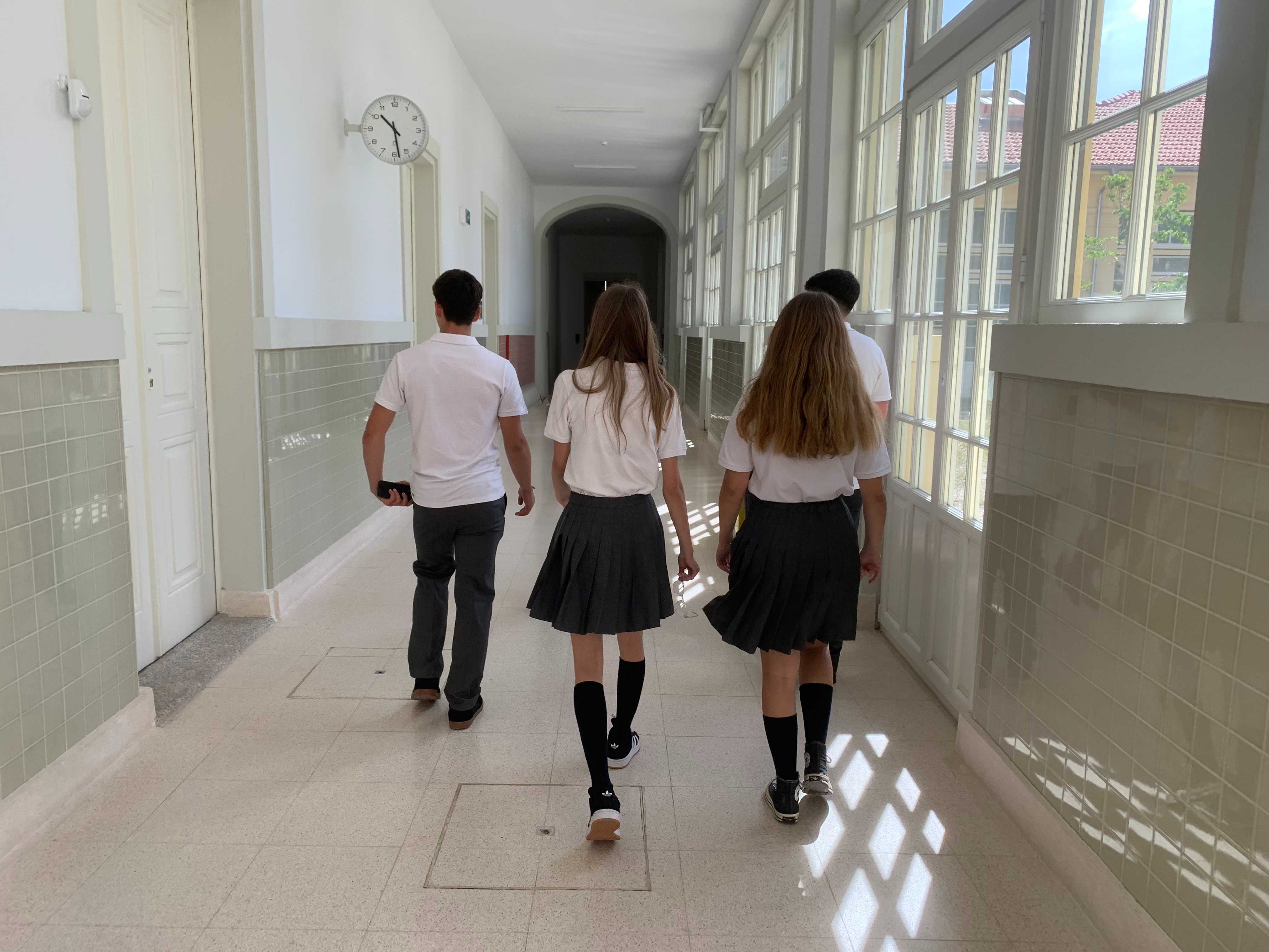 Uniforme escolar - saia de pregas cinzenta (OBS, Bom Sucesso, etc.)