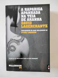 A Rapariga Apanhada na Teia de Aranha, de David Lagercrantz