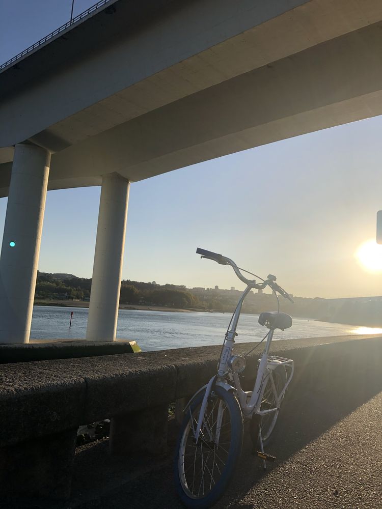Bicicleta Dobrável
