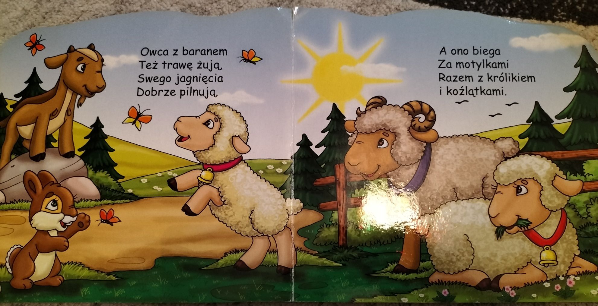 Książeczka "Zwierzęta i ich młode"