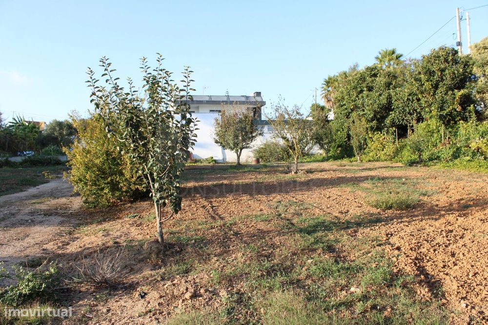 Terreno com projeto aprovado para uma moradia pronto a ser construído.