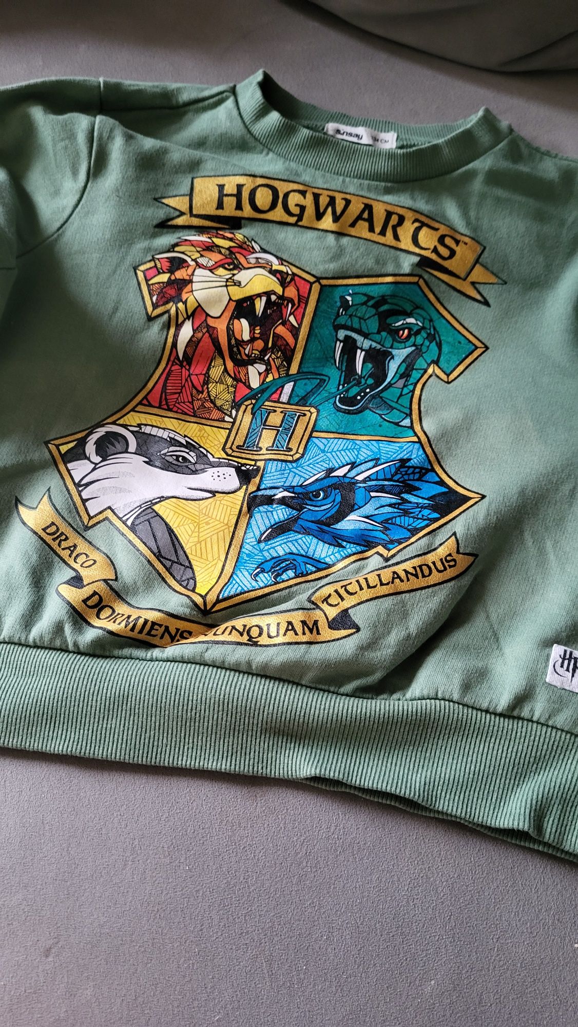 Bluza Harry Potter 134