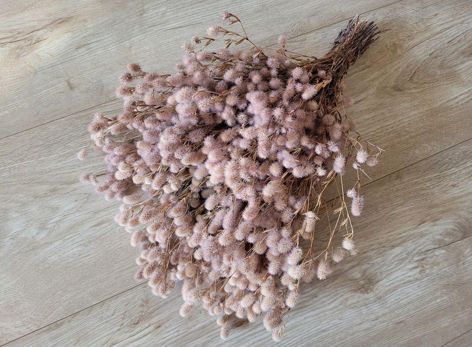 suszki, suszone bukiety, zboże, dodatki florystyczne, kompozycje kwiat