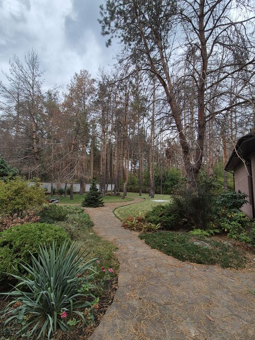 Продам шикарный дом в лесу! Обуховка! Серебряный Бор! 30 соток!