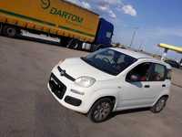 Fiat Panda 3, 2012-, 1.2 błotnik, zderzak, ćwiartka, dach, silnik.