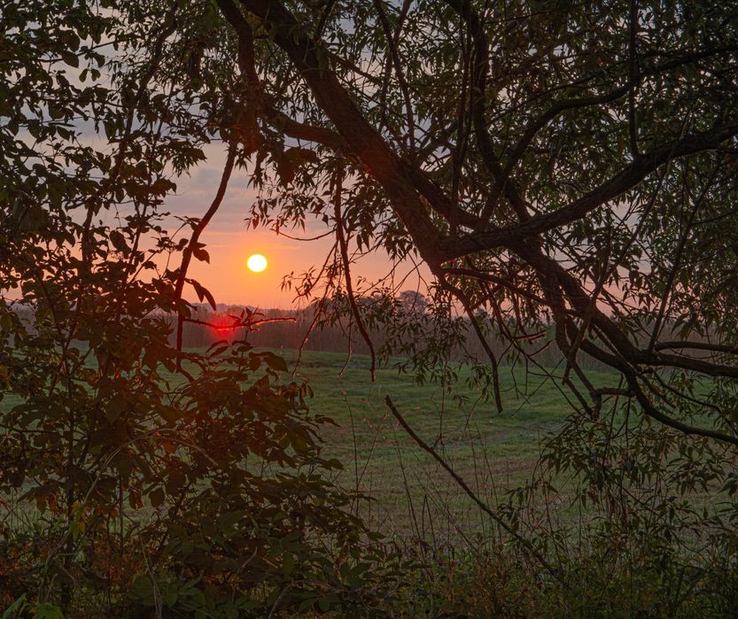 Sesja zdjęciowa, fotografia