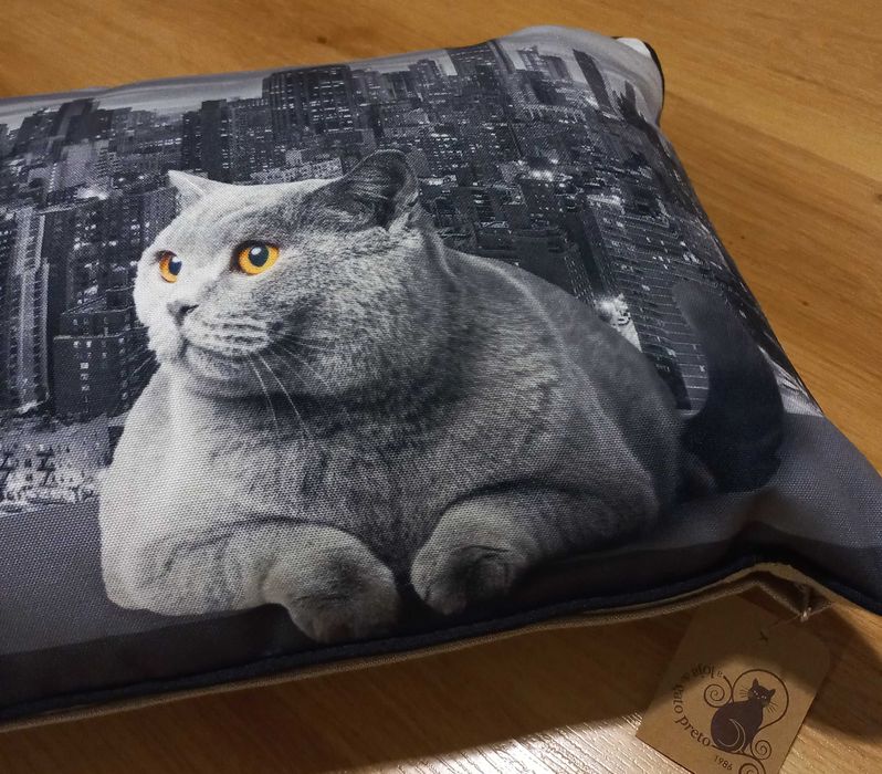 Almofada do Gato Preto