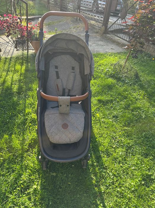spacerówka joggy coletto