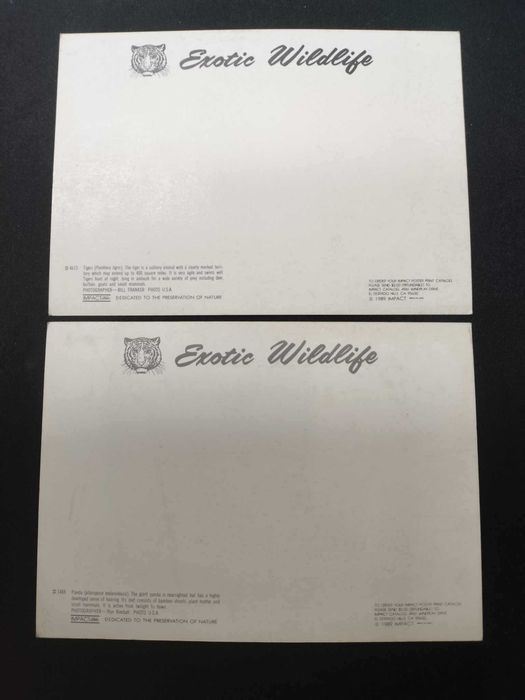 Postais Photo vintage da Impact 18 x 13 cm print in japan raros