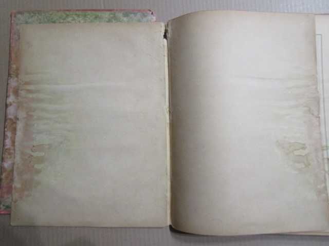 O livro de ouro da infantaria 1914 ;1918