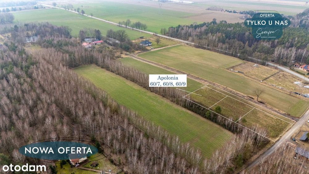 Działka budowlana, Twój nowy dom - Apolonia