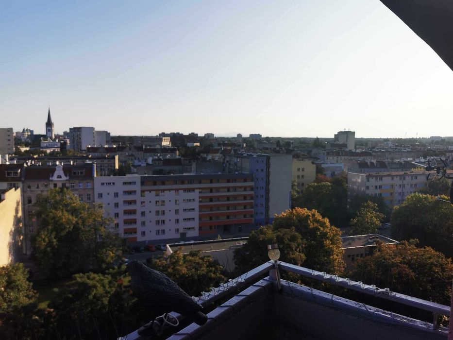 piękna kawalerka na wynajem