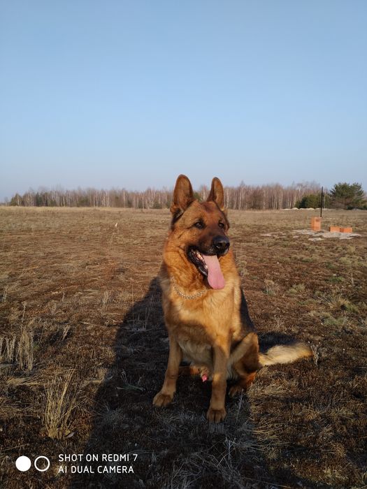 Предлагается Кабель н/о для Вязки