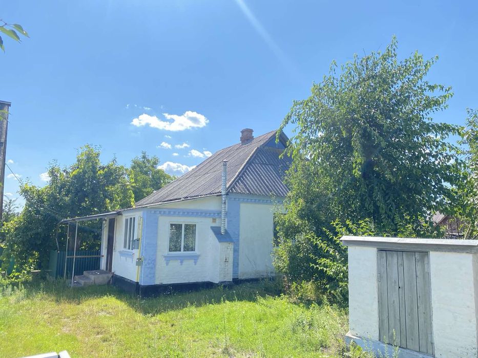 Продам будинок в мальовничому селі