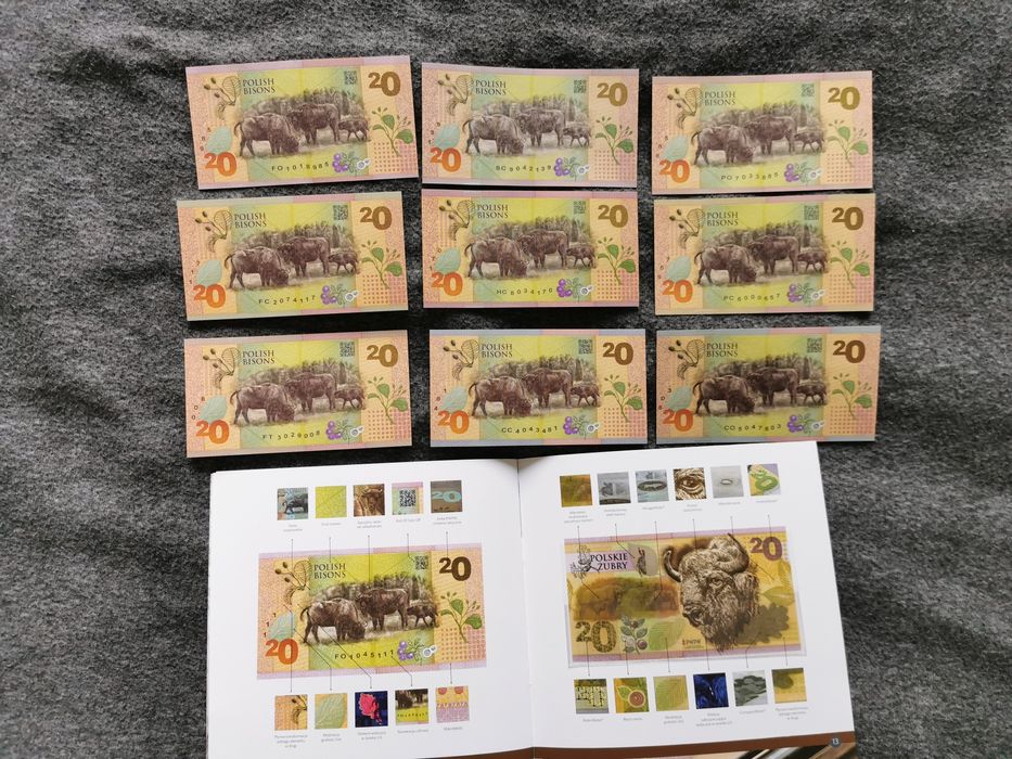 Banknoty PWPW - Żubry st.1 Folder w j. angielskim