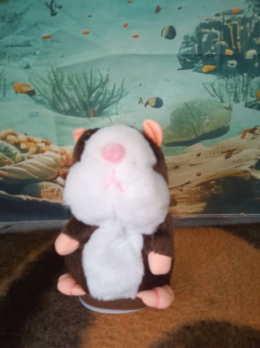 Tylko 33 zł Chomik gaduła rusza się i powtarza wszystko co mówisz