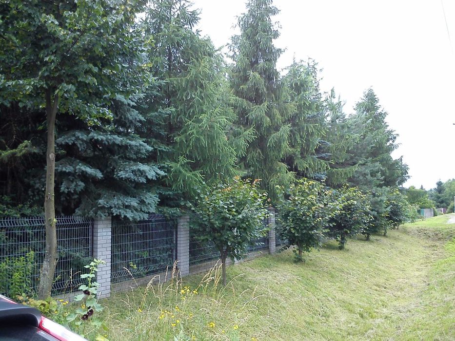 Sprzedam działkę 50ar Stalowa Wola