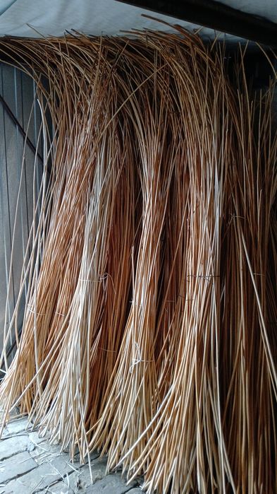 Sprzedam wiklinę korowaną