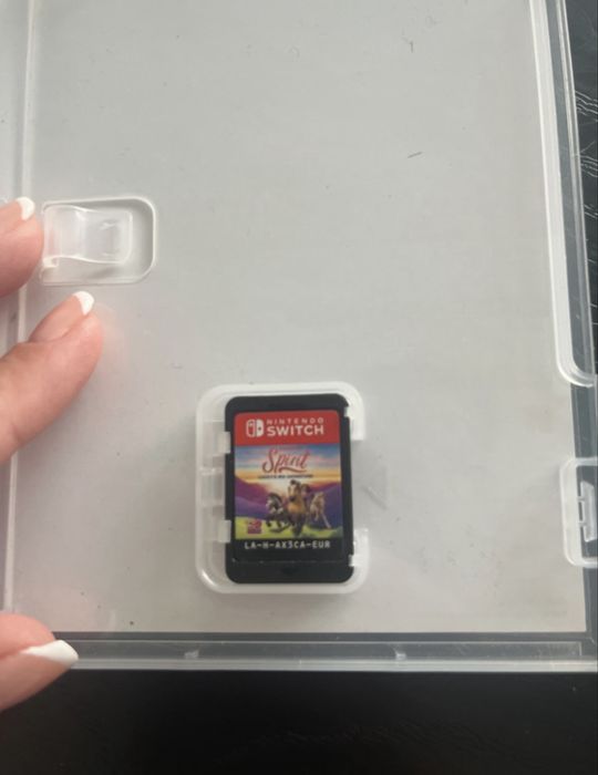 Spirit- A grande aventura de Lucky para nintendo switch