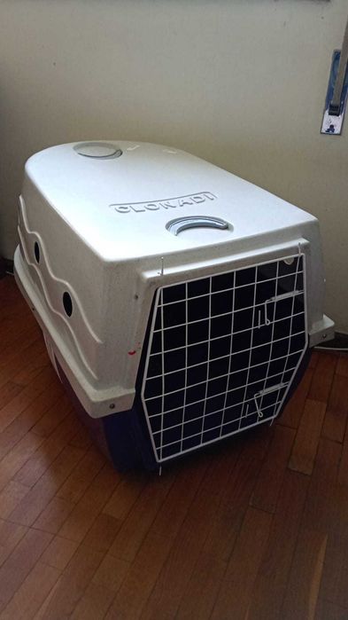 Caixa transportadora de animais em perfeito estado.