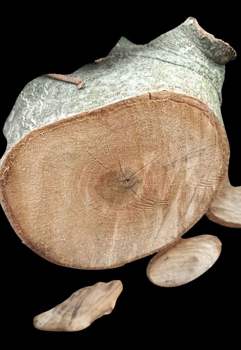 Plastry orzecha włoskiego.