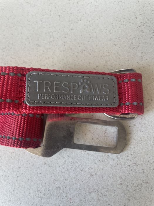 Pas bezpieczeństwa dla psa lub kota do samochodu