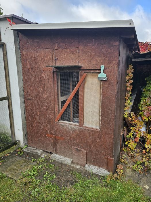 Gołębnik klatka na gołębie