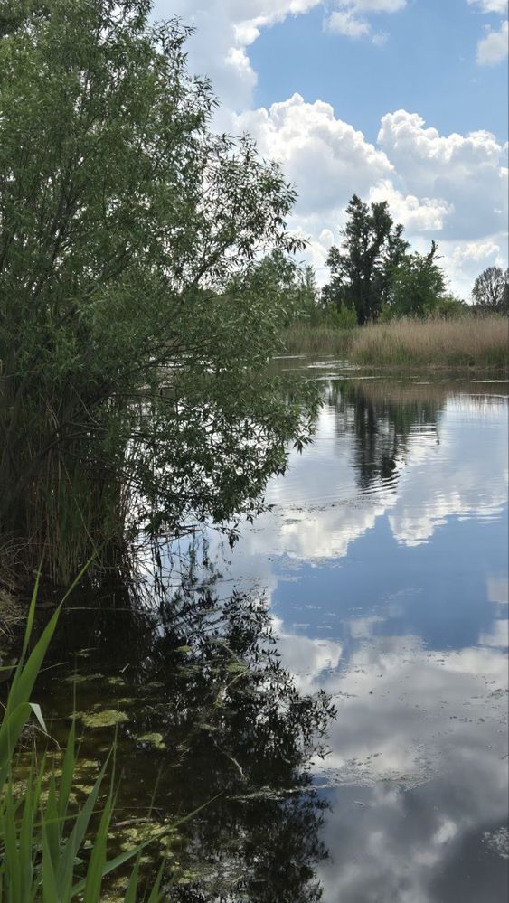 Продам будинок в центрі Підгородного, терміново