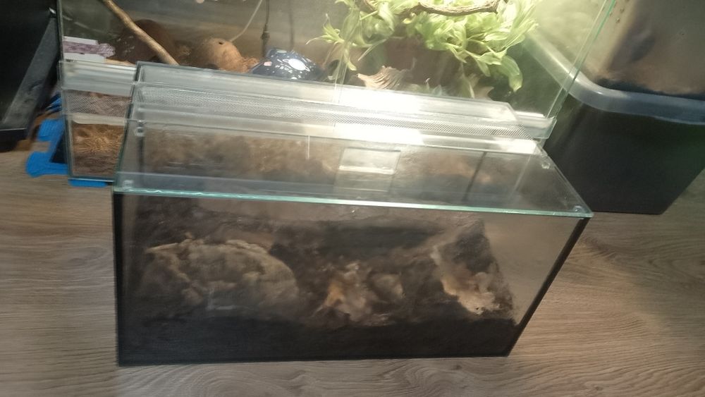 Терраріум 40х20х20