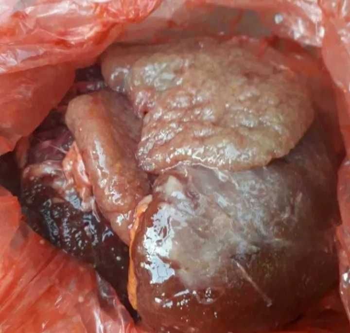 Икра карася,ляща, окуня, 
 судака,толстолобика,коропа, сома