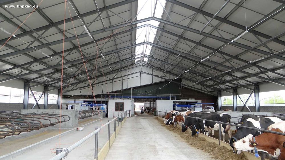 Konstrukcja stalowa. Obora. 28x44x4,5m. Producent. BHP KAD. Bartoszyce