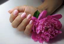 Manicure Pedicure i Design de Sobrancelha com Henna a DOMICILIO