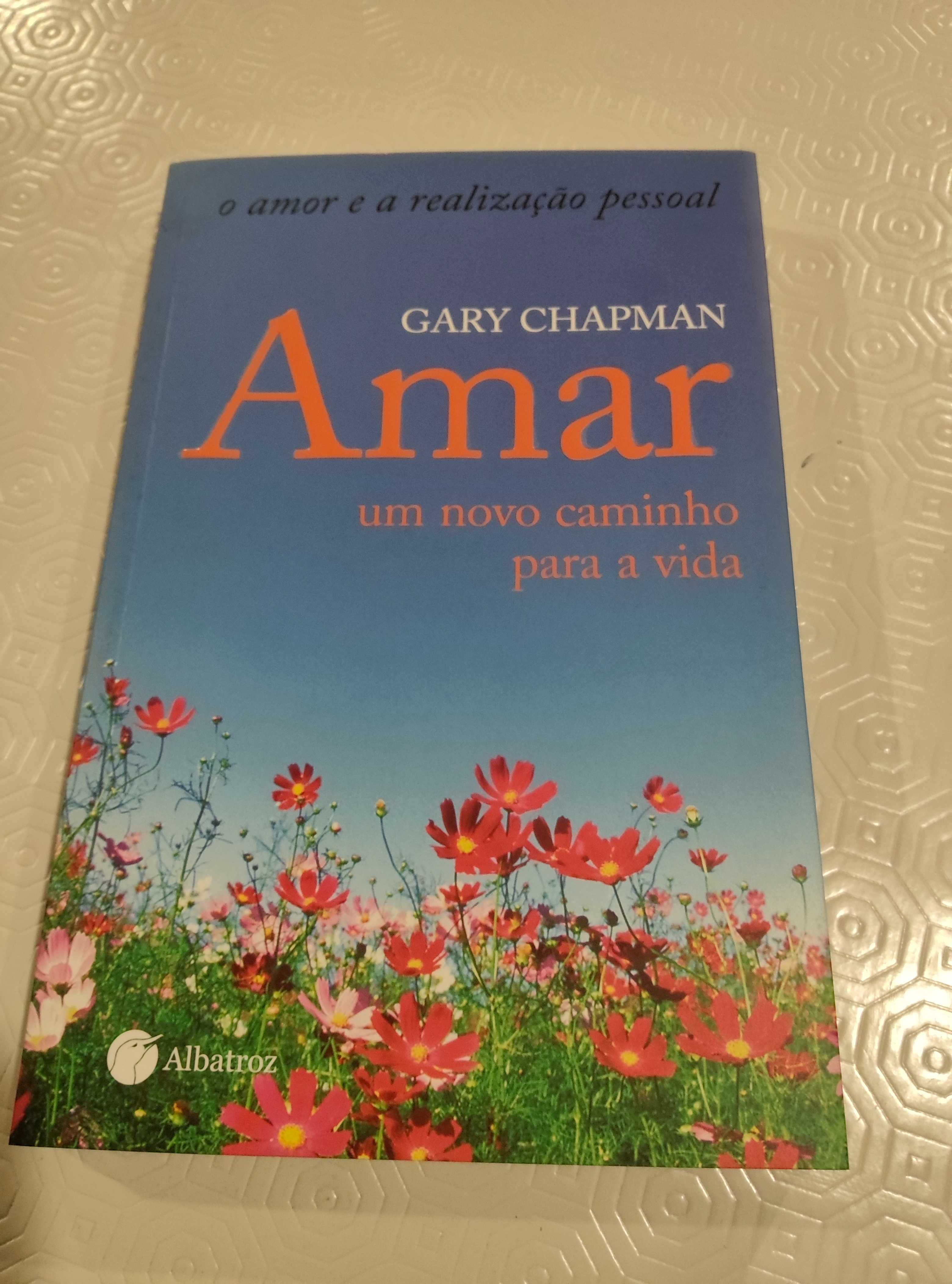 Livro "Amar um novo caminho para a vida", Gary Chapman