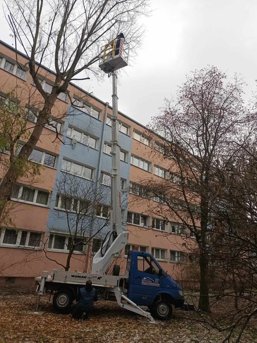 Wycinka drzew, wycinka drzewa, frezowanie pni, Rębak do gałęzi,