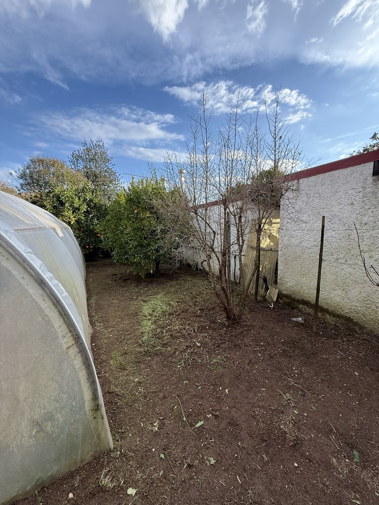 Limpeza de Terrenos , Jardinagem , Podas